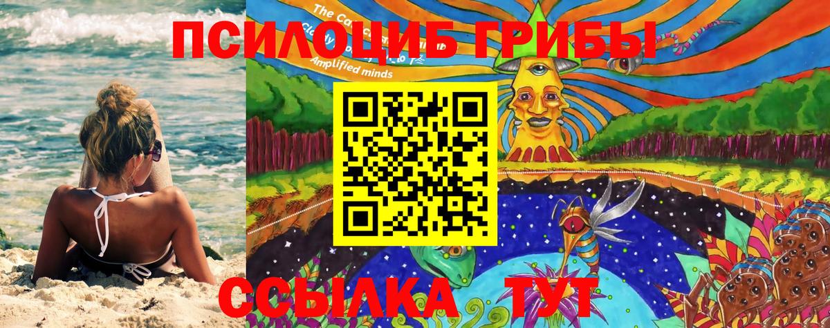 хочу   Вход с VPN  Новороссийск  Галлюциногенные грибы Psilocybe 