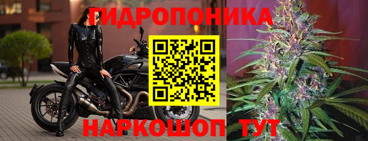 Бошки марихуана семена  Бошки марихуана ГИДРОПОН  Новороссийск  Вход с VPN  Бошки Шишки Bruce Banner  Канабис конопля 